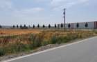 Teren Construcții intravilan de 20000 mp, în Joița - 3