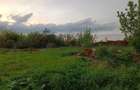 Vand teren in alfa arad zona sabrinelor - 3