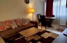 AP. 2 CAMERE TEI RENOVAT, MOBILAT/UTILAT MODER, BUCATARIE INCHISA. - 6