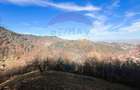 Teren Colinar Panoramic – 17.684 mp în Scheii Brașovului - 14