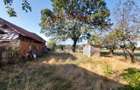 Casa / Vila de vanzare in Bucovat, Sarbatoarea - 3