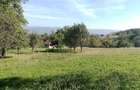 1,5 ha cu 2 case vechi, livada si izvor langa Via Transilvanica - 4