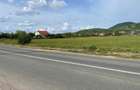 5755 mp teren intravilan Seini de vanzare, toate utilitatile, asfalt, construibil, plat, acces dublu - 4
