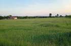 Proprietar vand teren in loc.Remetea Mica-Timis la sosea principala, front stradal 80 metri - 3