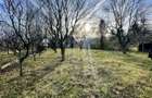 Teren intravilan 1.915 mp + cabana din lemn | Tocile Sadu - 4