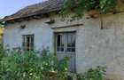 Casa de vanzare cu 4500m2 de teren - 4