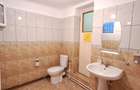 TINERETULUI (metrou) - DIMITRIE CANTEMIR, casa 2 camere, curte proprie - 8