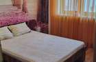 Apartament cu 2 camere decomandat, 53 mp utili, complet mobilat si utilat Str. Zambilelor nr. 8, aproape de Parcul Teilor - 7