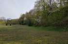 Vand teren zona Pangarati, jud. NEAMT - 2