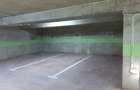 Apartament 2 camere cu Parcare Subterana-zona Carrefour Orhideea - 10