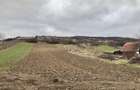 Vand teren la Dunare, DN 57, Liubcova (comuna Berzasca) - 6