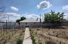 Casă cu 3 camere cu Teren 1326 Mp în Cișmele - 8