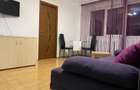 Apartament cu 2 camere nedecomandat în Vest - 7