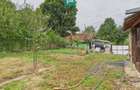 Căsuță de vacanță pentru pescari în Lipova - 2