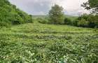 Teren 2200 mp, in Radaia, com Baciu - 1