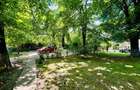 Apartament cu 2 camere decomandat în Parcul Carol - 18