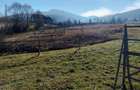 Teren de vanzare in Bucovina - 15