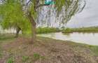Teren 1 ha cu balta populata Alio? (Ma?loc) - 3