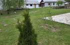 Crama vinalcool Valea Cricovului Prahova - 5