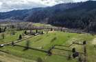 Vindem teren intravilan 8704 mp Vatra Moldovitei - Bucovina - 10