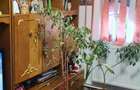 Vand apartament cu 3 camere, ultracentral. - 3