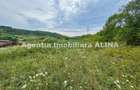 Teren intravilan 4.664 mp in Satul Boholt din Comuna Soimus, Jud. Hunedoara. - 11