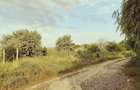 Teren extravilan de 5451 mp, în Năvodari - 6