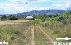 Teren intravilan 1.100 mp Goranu 3km Rm.VL. acces facil +utilita?i - 11