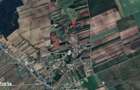 Cota de 1/4 dinteren extravilan- com. Buzoesti, jud. Arges - 2