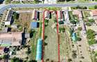 Casă cu 4 camere cu Teren 1440 Mp în Macea - 3