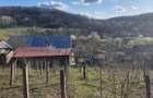Casa P+M cu 1.558 mp teren, livada ?i garaj | Barza, Gorj Comision 0% - 19
