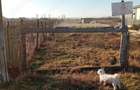 Teren de 2000 mp, în Umbrărești - 4