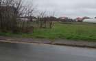 Teren de vanzare Cornetu, Ilfov Strada Bradului - 2