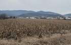 Teren intravilan de vanzare pentru Blocuri Alba - Micesti partea stang - 1