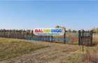 Teren Construcții intravilan de 1500 mp, în Clinceni - 5