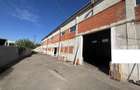 Spațiu industrial, de 700 mp, în Nufărul - 2