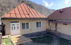 PROPRIETATE LA MUNTE | 2 CASE RENOVATE | MALAIA JUD. VALCEA - 16