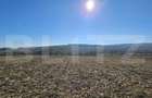Teren extravilan, 17.000 mp, zona Almasu Mic - 2