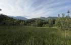 Teren Intravilan 2.000 Mp In Pestera Moieciu, Izvor Propriu , Asfalt - 9