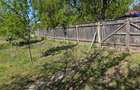 Casă+Anexă+Teren 1511mp în comuna Adâncata, Ialomița, gata de locuit. - 14