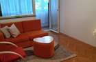 Apartament cu 2 camere decomandat în Viilor - 7