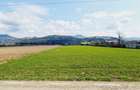 Teren intravilan 8906 mp, Dofteana - 1