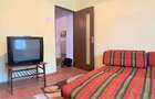 Apartament decomandat la etaj intermediar, zona Parcului Farmec - 8