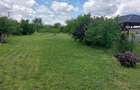 Teren de 4250 mp, în Ungureni (Dragomirești) - 6