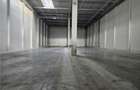 Spatiu Industrial - 7500 mp - Logistica - Productie - Depozitare - Distributie - 11