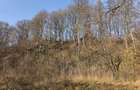 Teren intravilan Breaza 4,000mp cu utilitati. Panorama. Intimitate. - 8