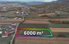 Teren de 6000 mp, în Copalnic