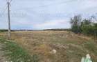Teren Intravilan pentru constructie, 3000mp, Branesti, Ilfov