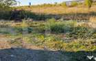 Teren 5000m2 Targoviste - ZONA INDUSTRIALA C.O.S. TGV - Gaesti (Dambovita) - 3