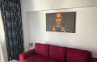 Apartament 2 camere Turnisor - 11